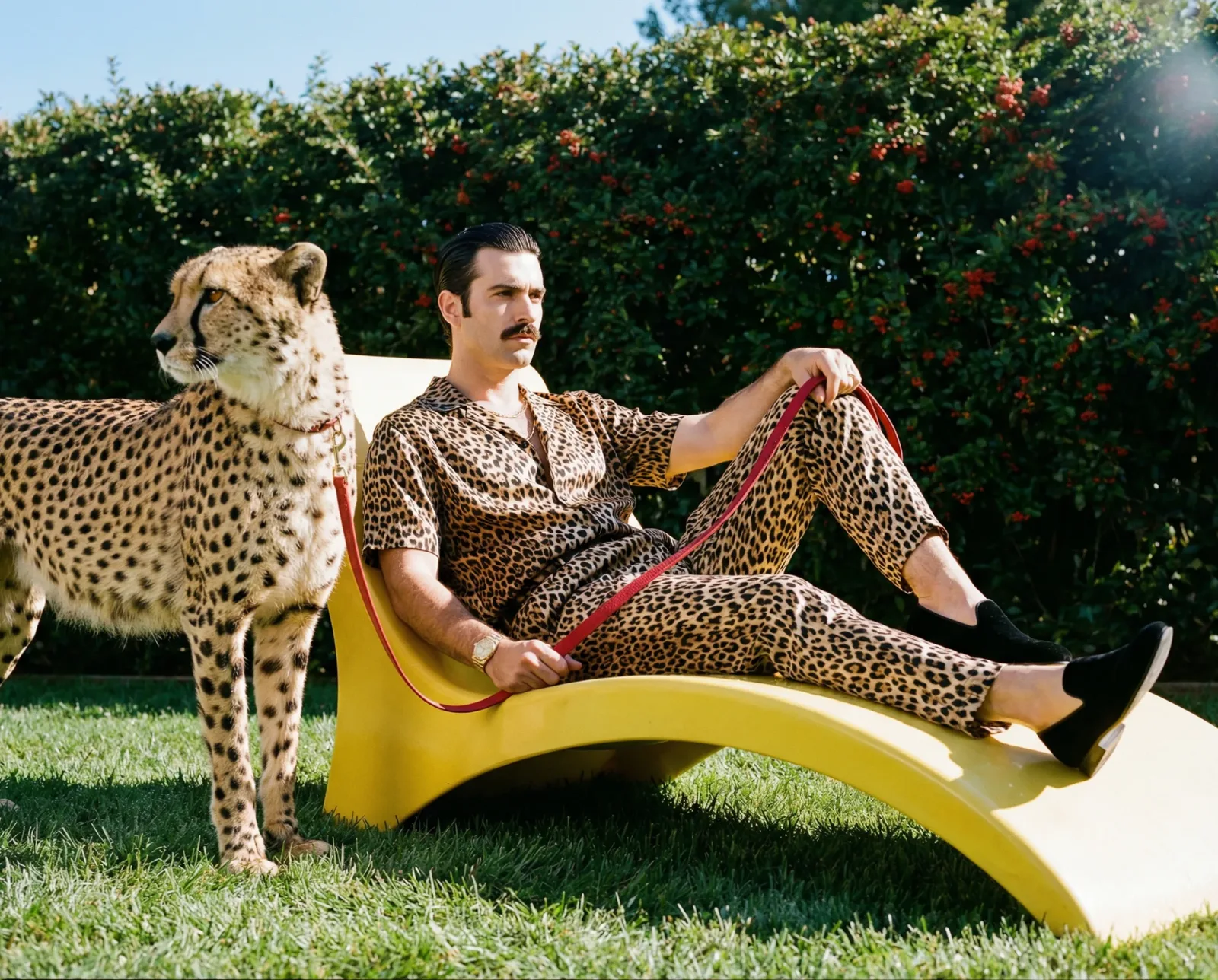 Uomo seduto su una chaise longue in giardino con un ghepardo al guinzaglio accanto a lui.